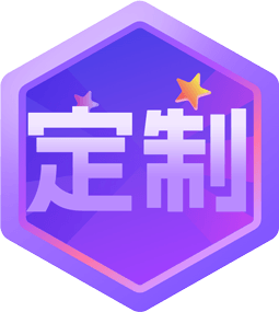 定制版